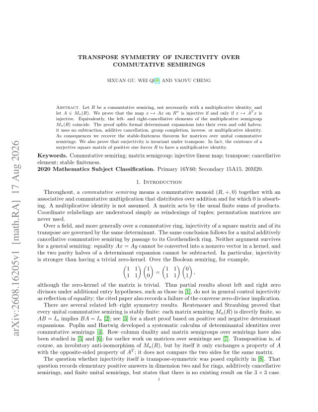 First page of Transpose Symmetry of Injectivity over Commutative Semirings