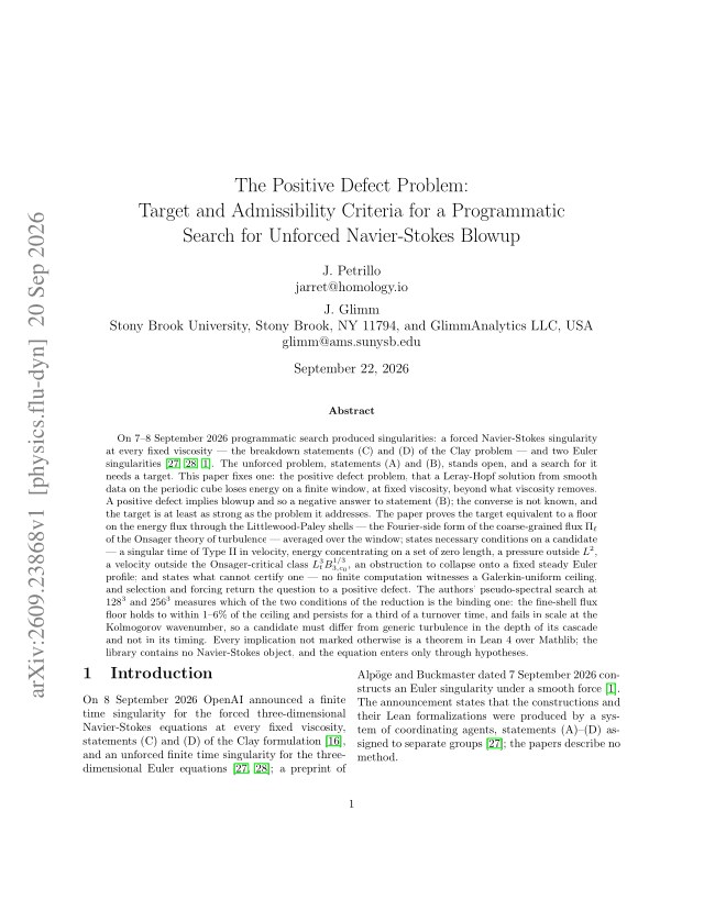First page of The Positive Defect Problem: Target and Admissibility Criteria for a Programmatic Search for Unforced Navier-Stokes Blowup
